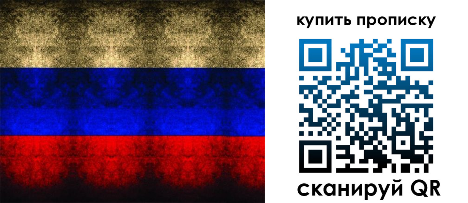 прописка в Волоколамске